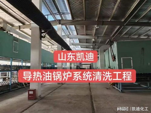 2023年5月4日江蘇南通勞保防護用品公司20噸導熱油鍋爐